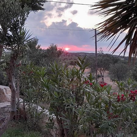 Villa Evenos Of 3 Bedrooms - Irida Country House Of 2 Bedrooms With Private Pools Elafonisi Buitenkant foto