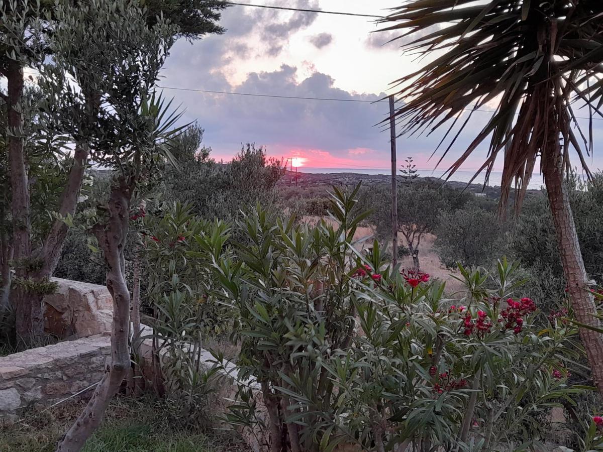 Villa Evenos Of 3 Bedrooms - Irida Country House Of 2 Bedrooms With Private Pools Elafonisi Buitenkant foto